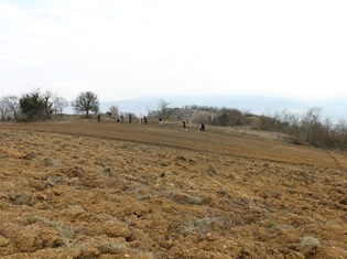 IMG_3630.JPG
